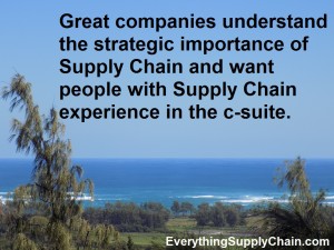 Supply Chain Strategic Importance